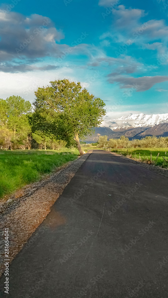 Vertical frame Road amid sunlit field with view of snow capped mountain and cloudy blue sky Vertical frame Road amid sunlit field with view of snow capped mountain and cloudy blue sky