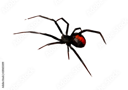Red back spider