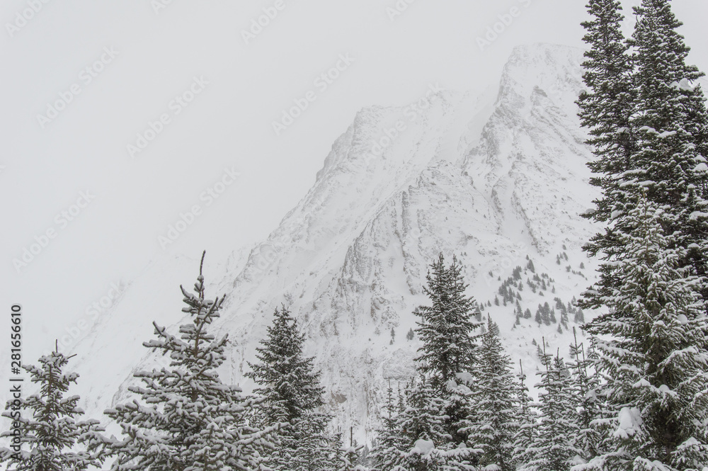 Obraz premium Looking towards a snowy Rocky Mountain face enduring a blizzard
