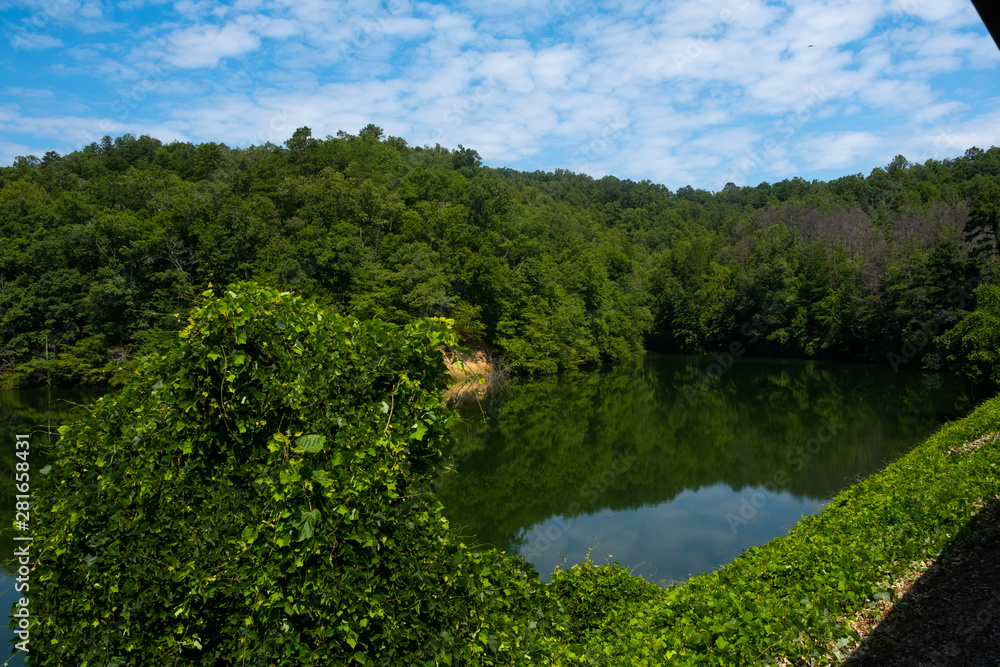 A cove on a lake deep in the woods A cove on a lake deep in the woods