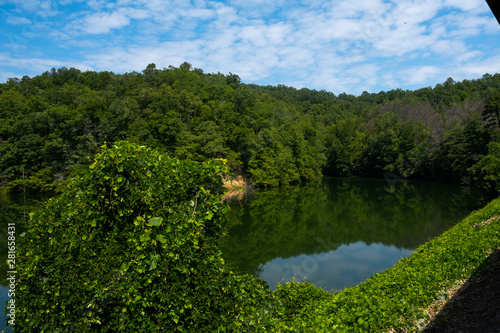 A cove on a lake deep in the woods