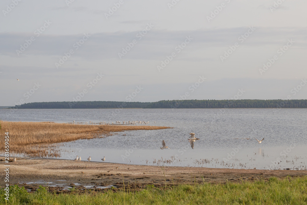 View of healing salty lake Medvezhye