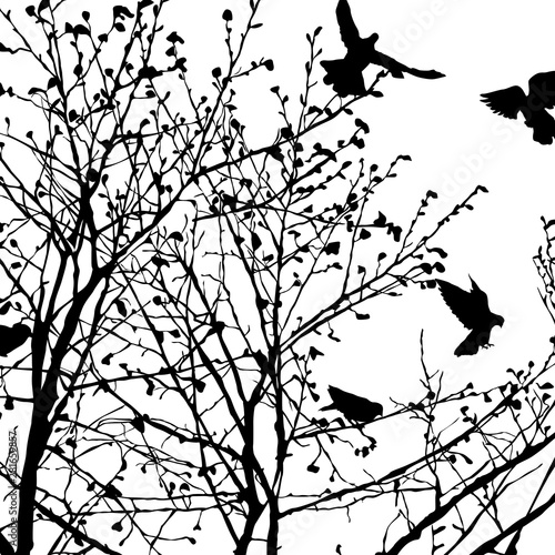 Pigeon silhouettes in the trees 7