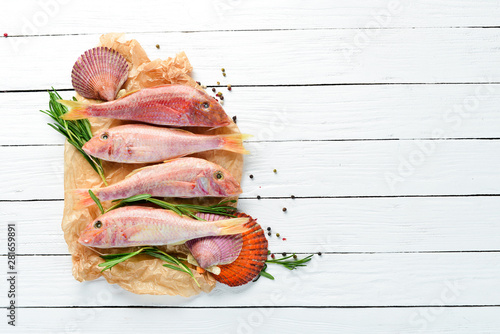 Fresh red mullet fish with lemon, salt and rosemary. Top view. Free copy space. photo