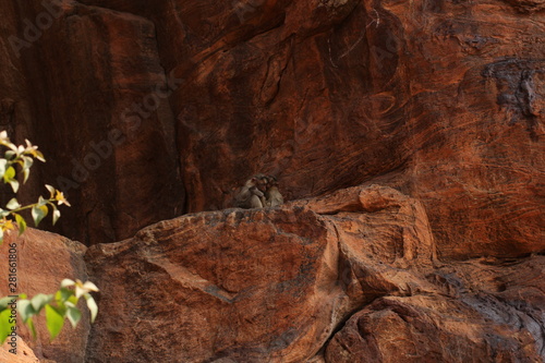 Badami Karnataka photo