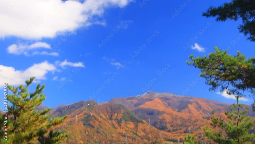 Forest and castle ruins, Nagano Prefecture, Ueda City Forest and castle ruins, Nagano Prefecture, Ueda City