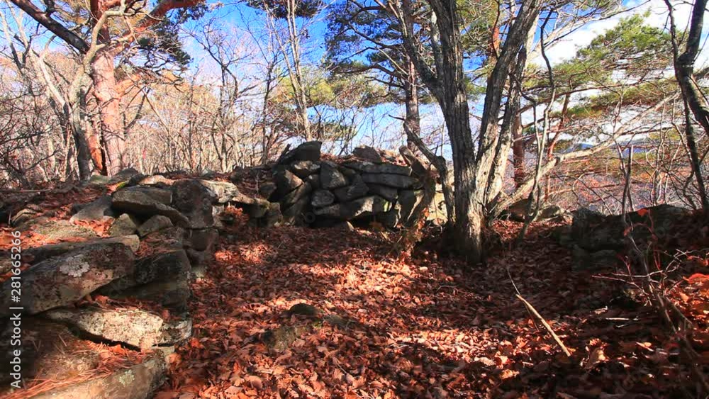 View of rocks on forest, Nagano Prefecture, Ueda City View of rocks on forest, Nagano Prefecture, Ueda City