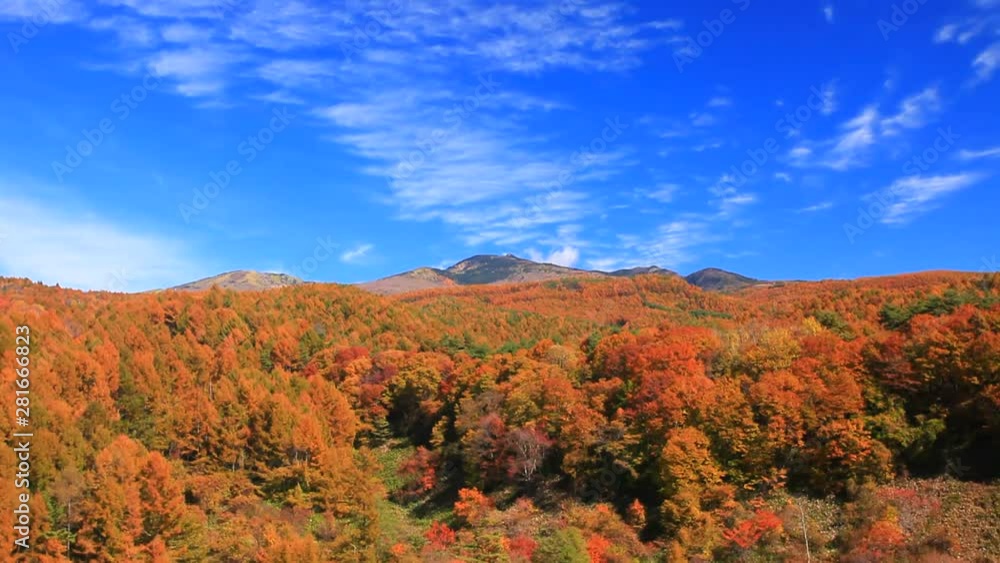 View of mountain and forest, Ueda City, Nagano Prefecture View of mountain and forest, Ueda City, Nagano Prefecture