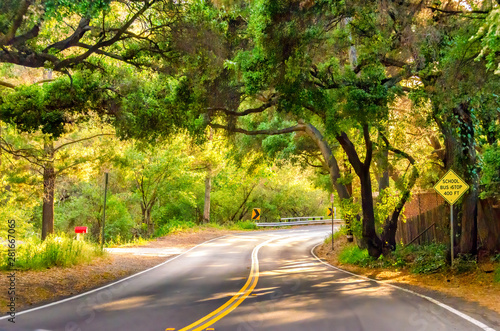 View of wooded California winding highway in the Santa Monica mountains. photo