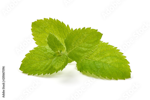 Fresh mint leaves, close-up, isolated on white background