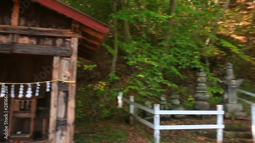 Grave of Yukino Umino photo