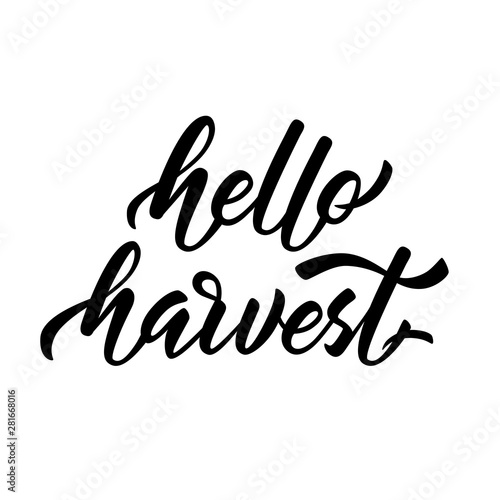 Hello Harvest - hand lettering. Modern black inscription on white background. Vector illustration.