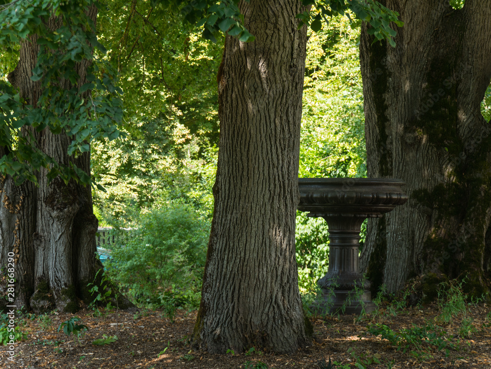 Obraz premium Paysage nature