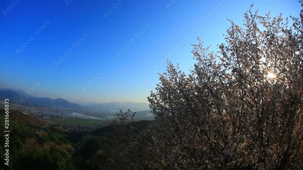 View of cherry blossom trees and valley, Ueda City, Nagano Prefecture View of cherry blossom trees and valley, Ueda City, Nagano Prefecture