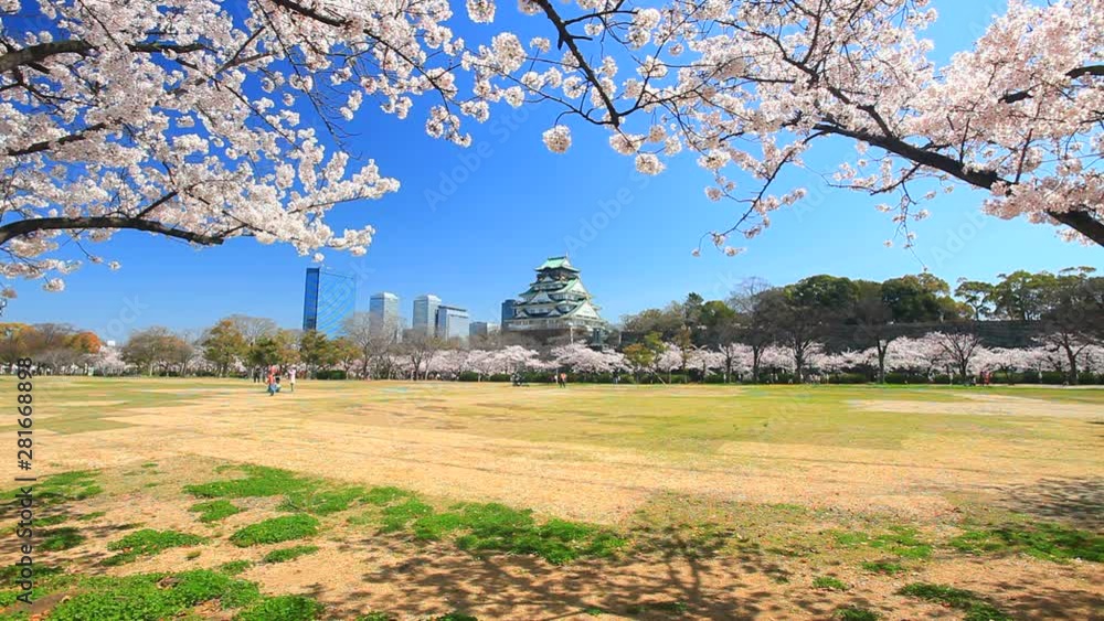 Osaka castle and cherry blossom seen from Nishinomaru Garden, Japan Osaka castle and cherry blossom seen from Nishinomaru Garden, Japan