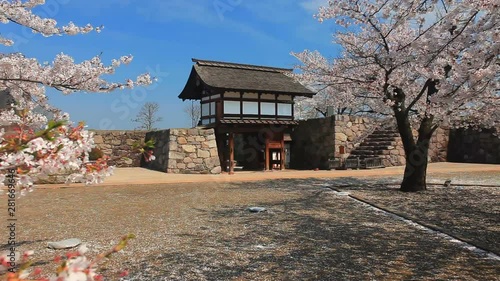 Zoom out of Matsushiro Castle North Gate and Cherry Blossom,  Japan photo