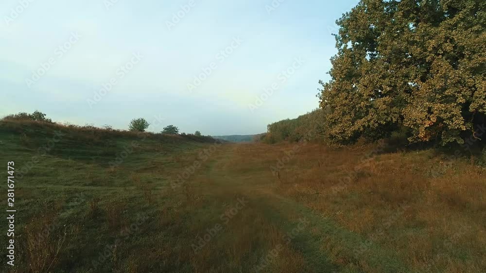 A meadow at the edge of a forest filmed with a drone. A meadow at the edge of a forest filmed with a drone.