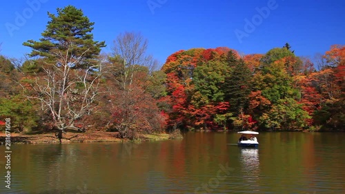 Panning shot of trees along Shiozawa lake in fall,  Japan photo