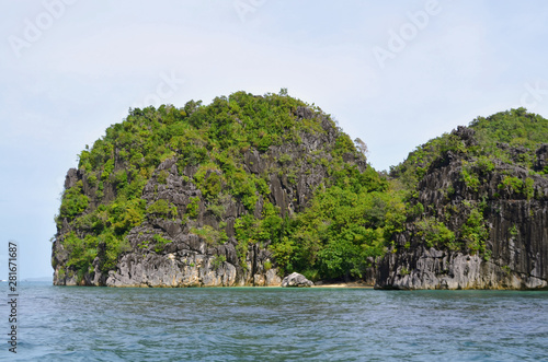 Rock covered by jungle vegetation by the sea on Caramoan Island, Philippines