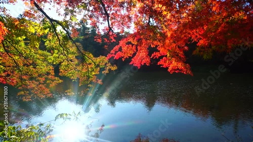 Sunlight reflecting in water photo