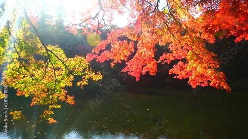 Zoom out view of autumn landscape photo