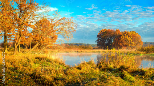 Autumn landscape on sunny day. Bright golden nature on river side in october. Fall. Beautiful view on river at autumn