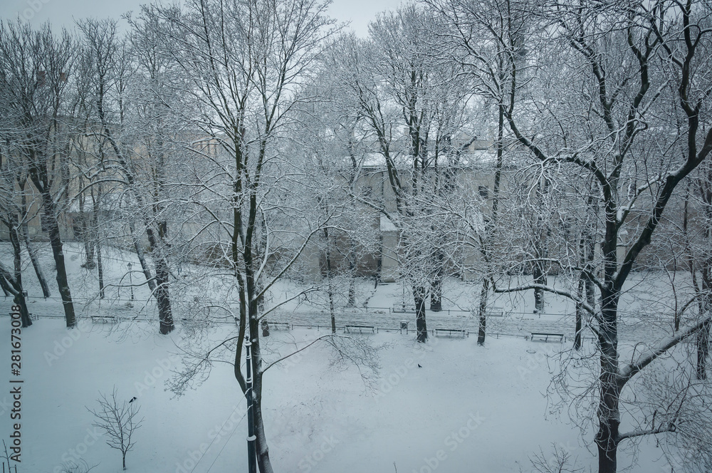 Snowy morning through the window Snowy morning through the window