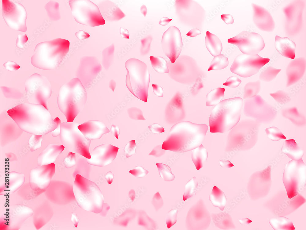 Spring tree flowers parts, airy flying petals Spring tree flowers parts, airy flying petals