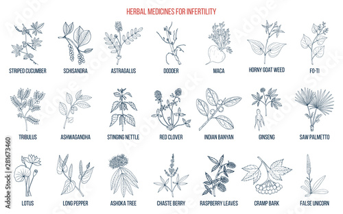 Best herbs for infertility