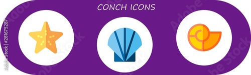 conch icon set