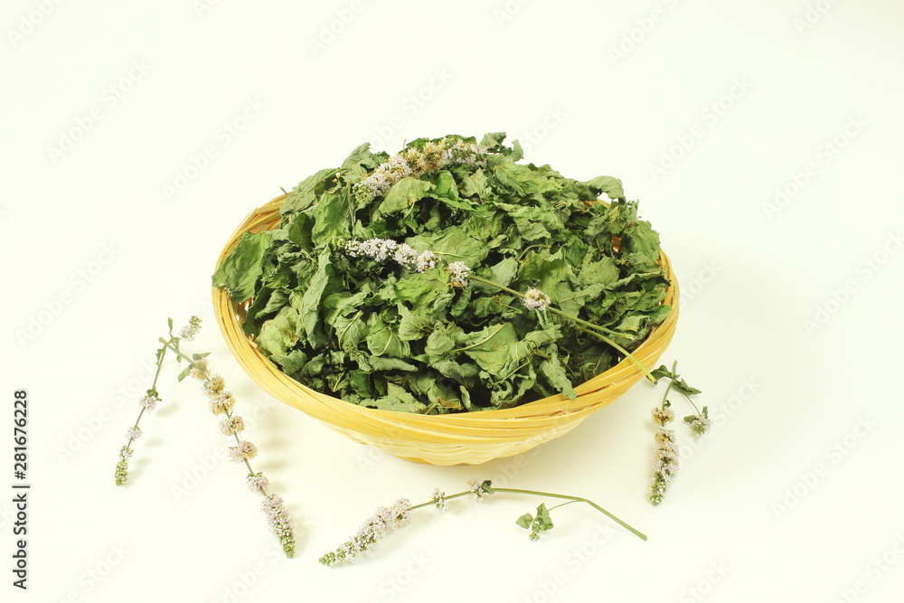 dried mint leaves or mentha piperita leaves herb isolated in white background dried mint leaves or mentha piperita leaves herb isolated in white background