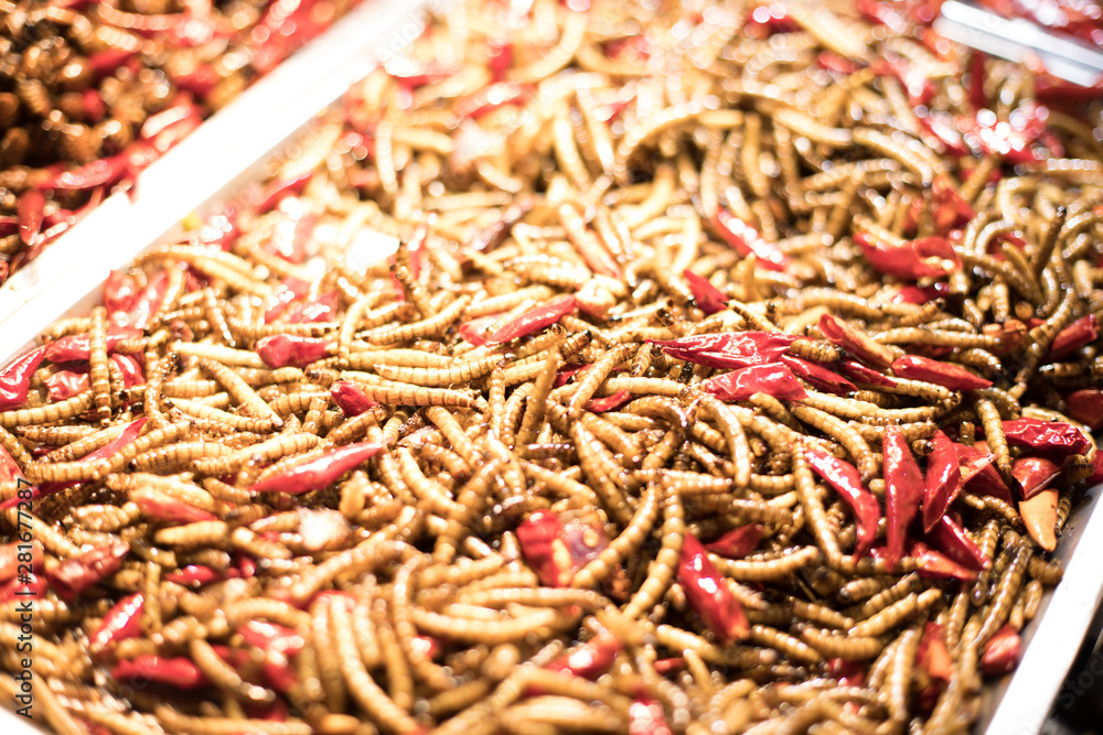 Eating an assortment of insects in Nanning China Eating an assortment of insects in Nanning China