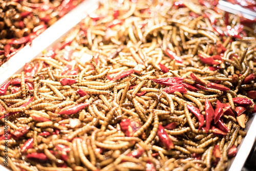 Eating an assortment of insects in Nanning China