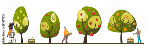 Harvesting people - set of vector flat hand drawn illustrations of people doing farming job - watering, gathering, planting, growing and transplant sprouts, self-sufficiency and harvesting concept