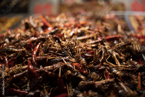 Eating an assortment of insects in Nanning China