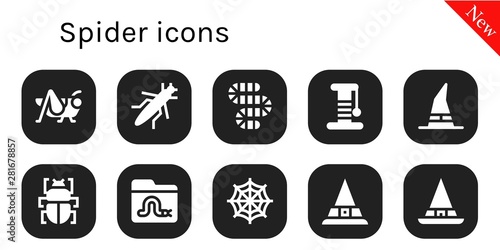 spider icon set