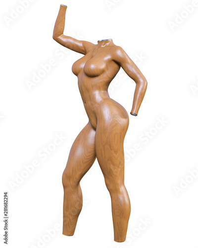 Female mannequin. Torso