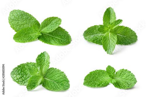 Schilderij op canvas Collection of fresh mint leaves, isolated on white background