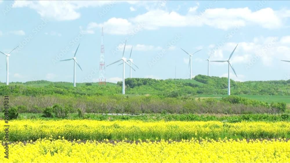 Zoom out of wind turbines and oilseed Rapeseed field Zoom out of wind turbines and oilseed Rapeseed field