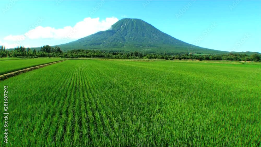 Mount Yotei and rice paddy,  Kyogoku,  Hokkaido,  Japan