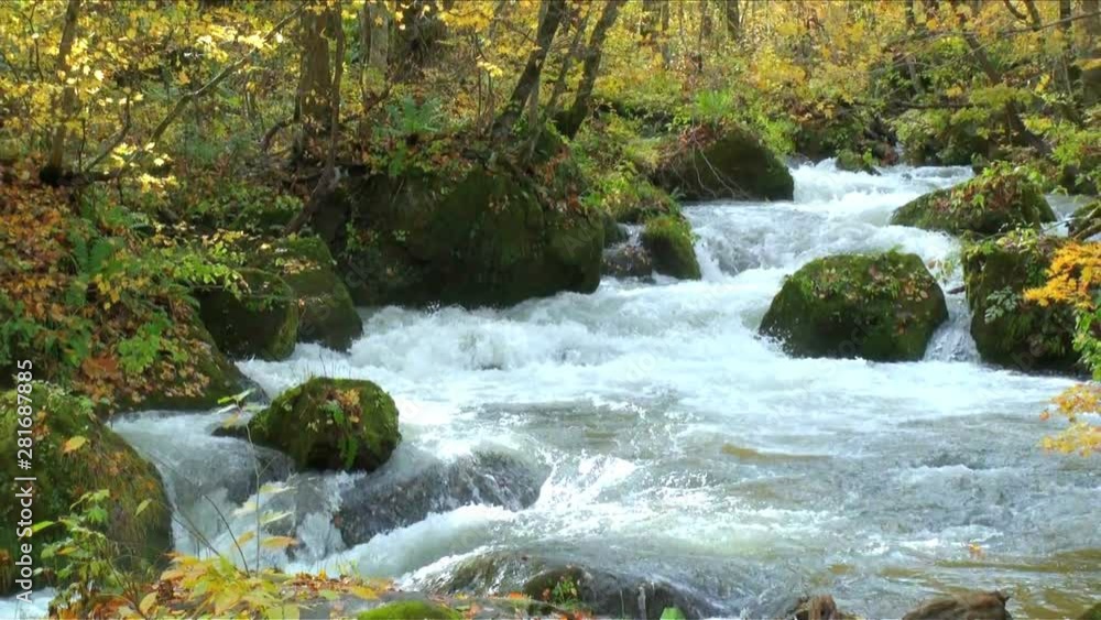 Mountain stream flowing in yellow autumn forest Mountain stream flowing in yellow autumn forest