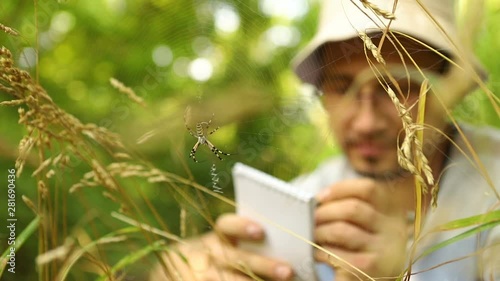 Caucasian entomologist with glasses and a panama hat studies a spider Argiope bruennichi sitting on a web in a green forest and makes notes in his notebook, close-up photo