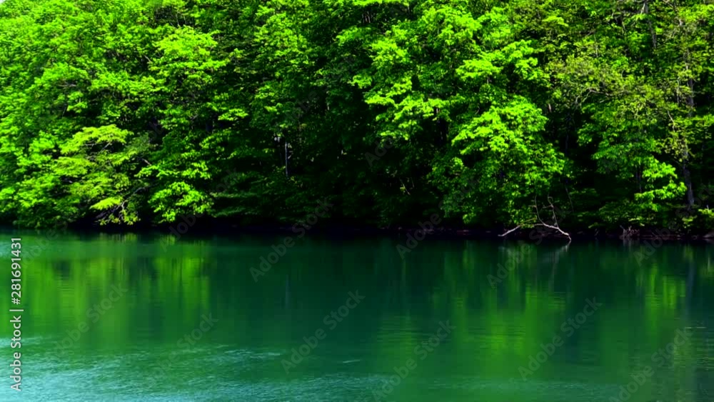 Lake and trees, Soryu dam, Hakodate, Hokkaido, Japan Lake and trees, Soryu dam, Hakodate, Hokkaido, Japan