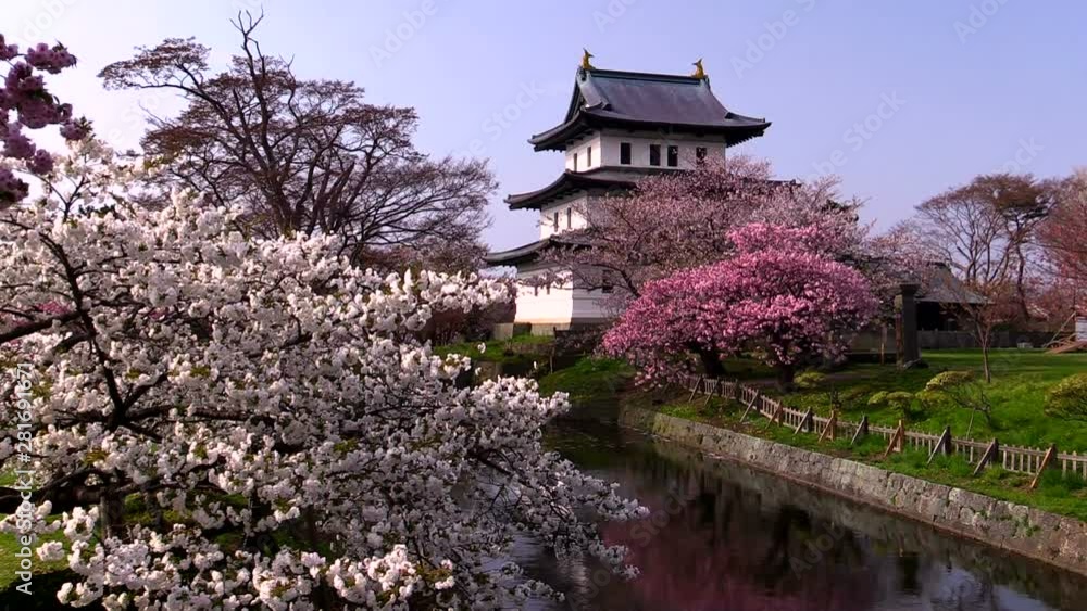 Matsumae Castle and Cherry trees in spring, Matsumae, Hokkaido Matsumae Castle and Cherry trees in spring, Matsumae, Hokkaido