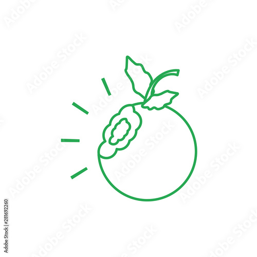 fresh cherry fruit with nibble isolated icon