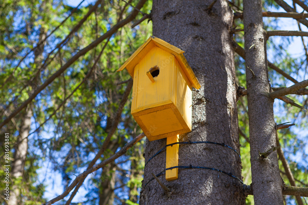 Old yellow birdhouse on a tree, bird care. Close-up
