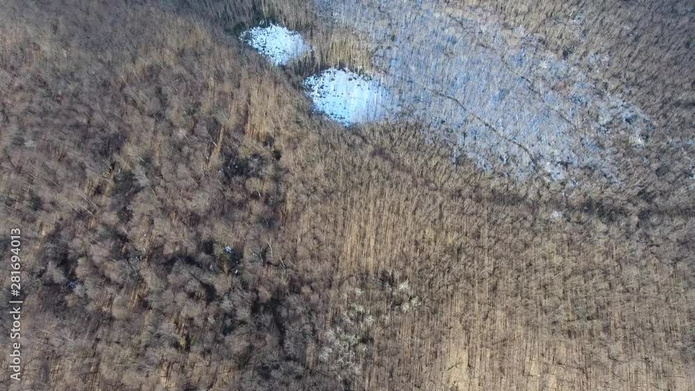 Aerial view of the first snow in the forest Aerial view of the first snow in the forest