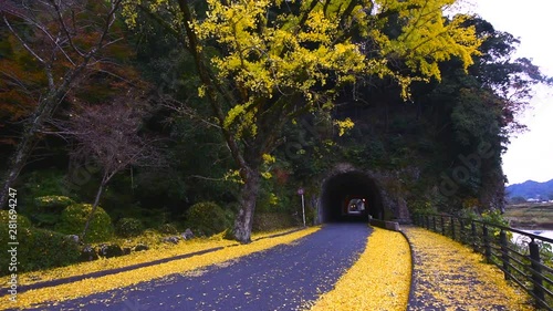 Entrance for blue Domon, Nakatsu, Oita, Japan photo