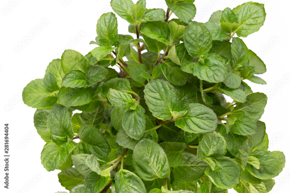 Fresh green spices isolated on white background, top view.