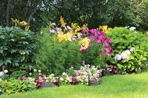 Fototapeta Naklejka Na Ścianę i Meble -  Nice selection of big and beautiful colourful flowers in garden